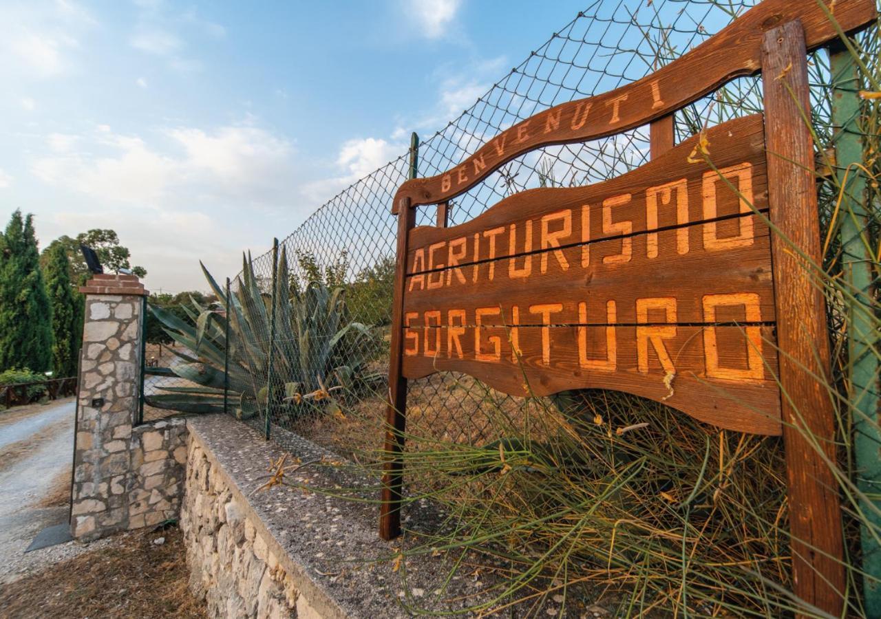 Il Sorgituro - Agriturismo Postiglione Exterior foto